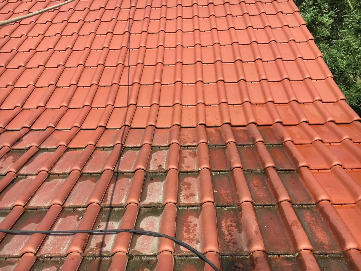 Czyszczenie kostki brukowej, dachów, elewacji - Cała Wielkopolska