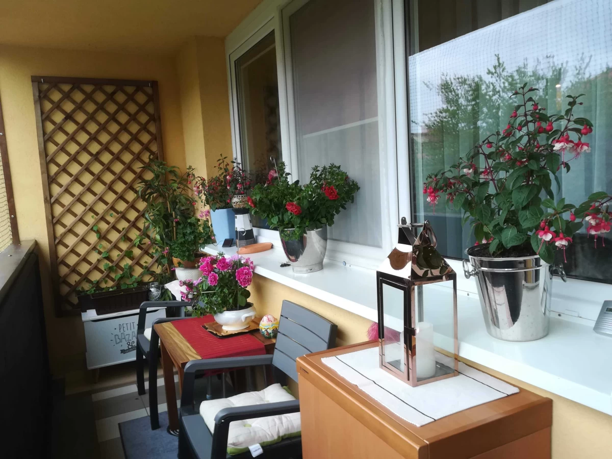 Sprzedam mieszkanie 3 pokoje 60,4 m2 Zegrze