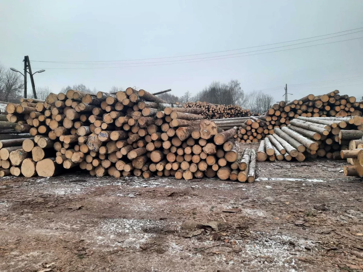 Drewno tartaczne, kłoda, dłużyca świerkowa,wałek na palety