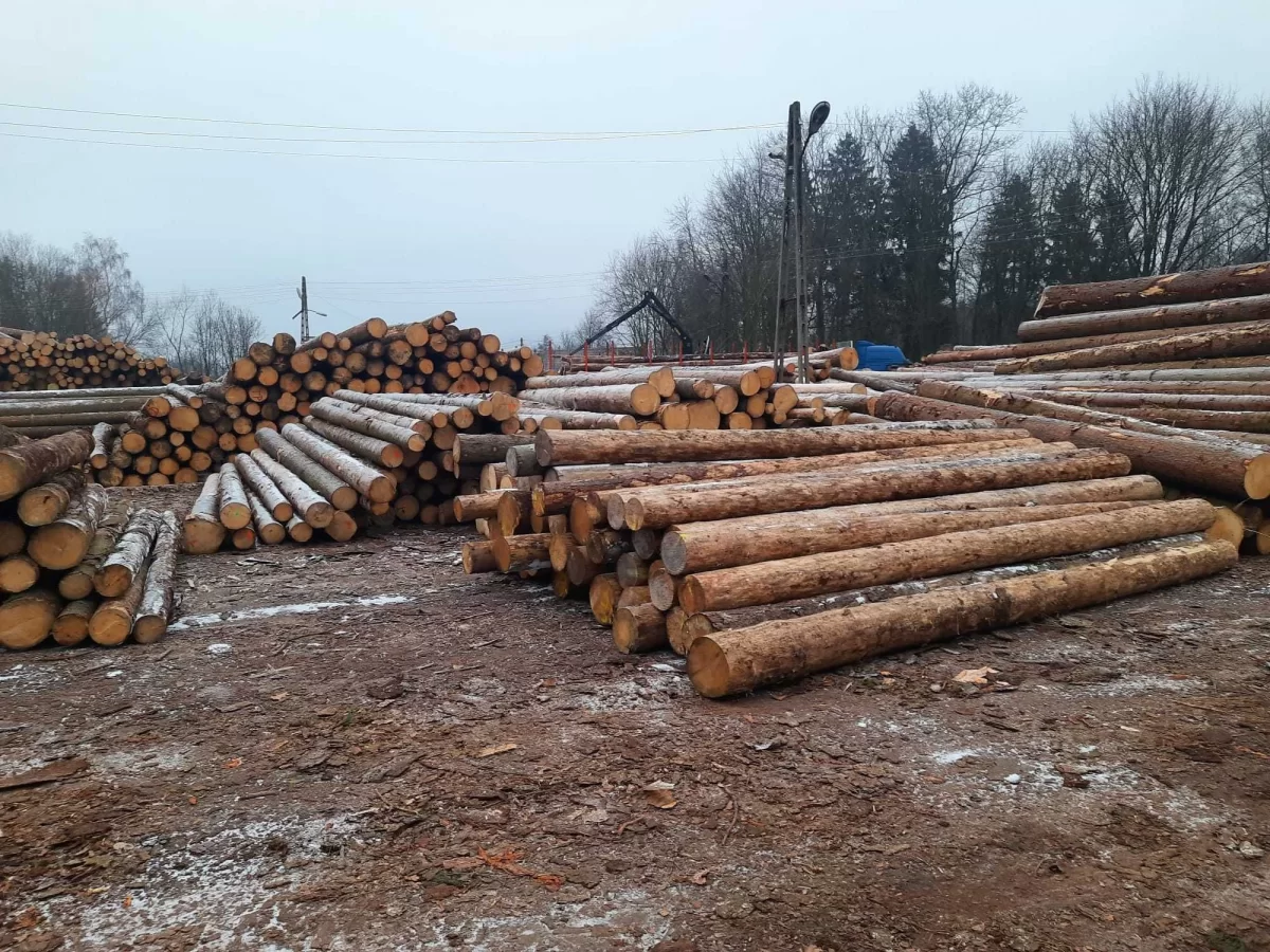 Drewno tartaczne, kłoda, dłużyca świerkowa,wałek na palety