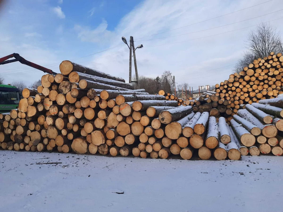 Drewno tartaczne, kłoda, dłużyca świerkowa,wałek na palety