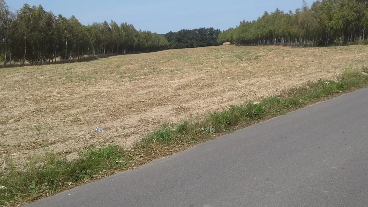 Sprzedam działkę budowlaną z linią brzegową nad Jeziorem
