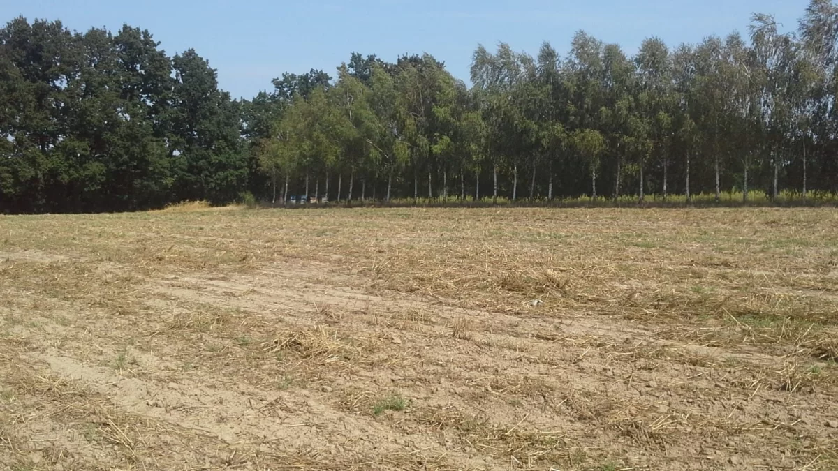 Sprzedam działkę budowlaną z linią brzegową nad Jeziorem