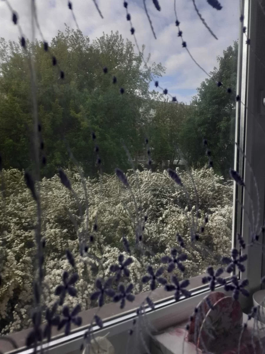sprzedam mieszkanie Toruń