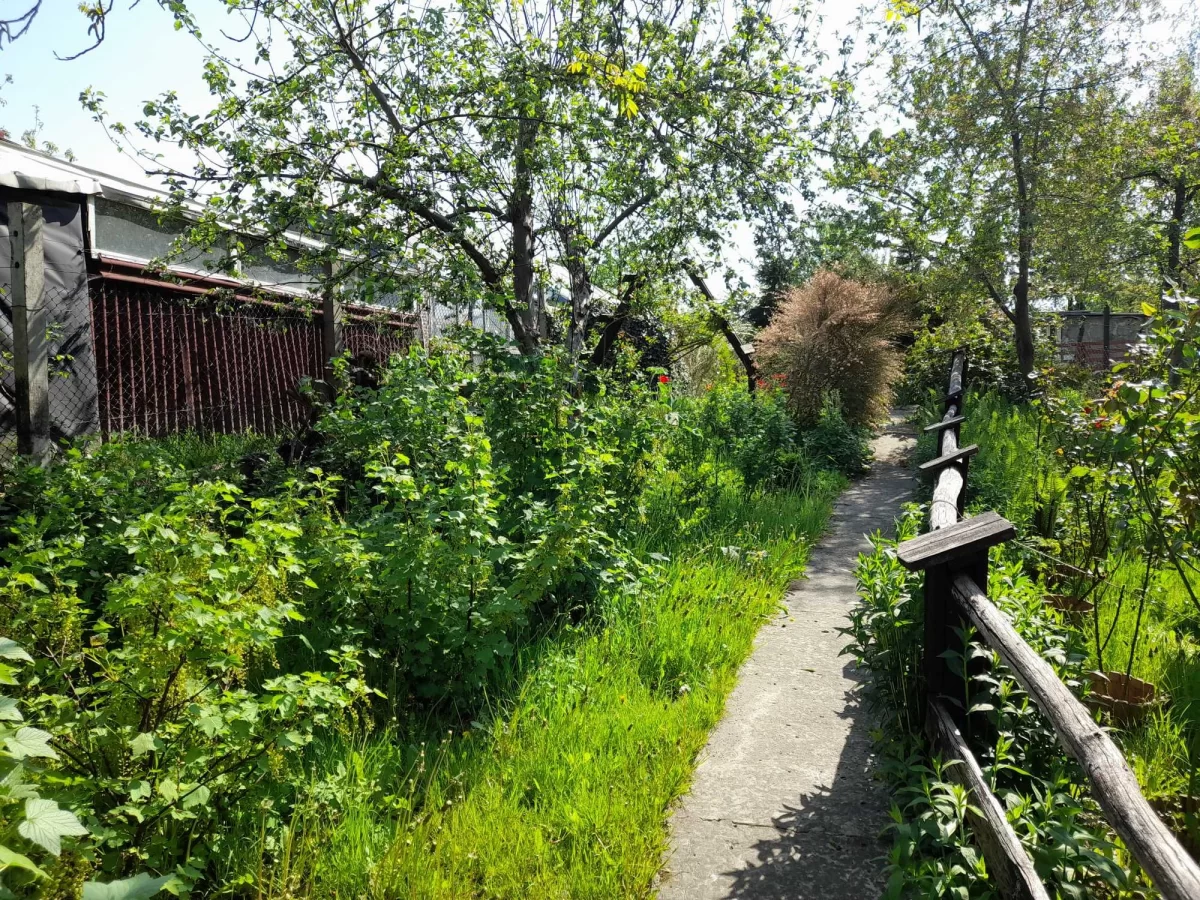 Ogródek działkowy ROD Sosnowiec