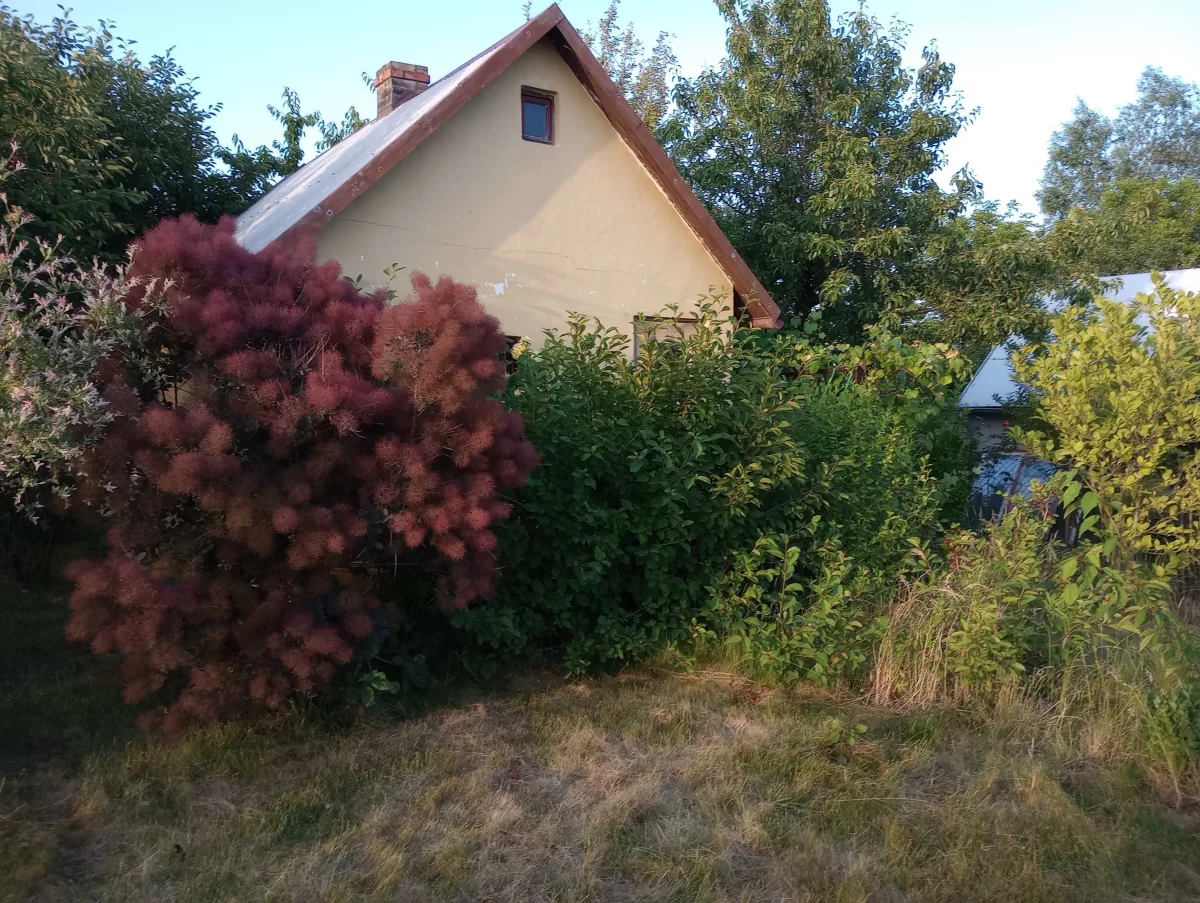 Działka rekreacyjna/ Ogródek działkowy