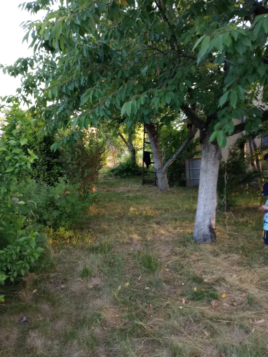 Działka rekreacyjna/ Ogródek działkowy