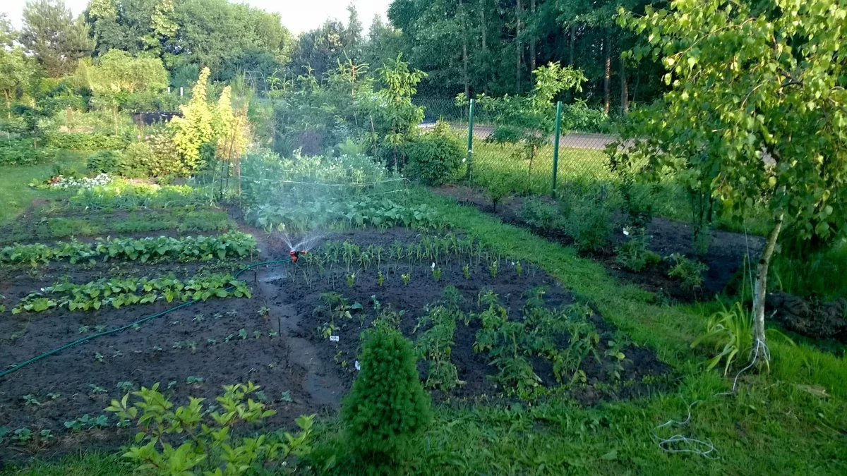 DZIAŁKA REKREACYJNA 540 m2 na sprzedaż