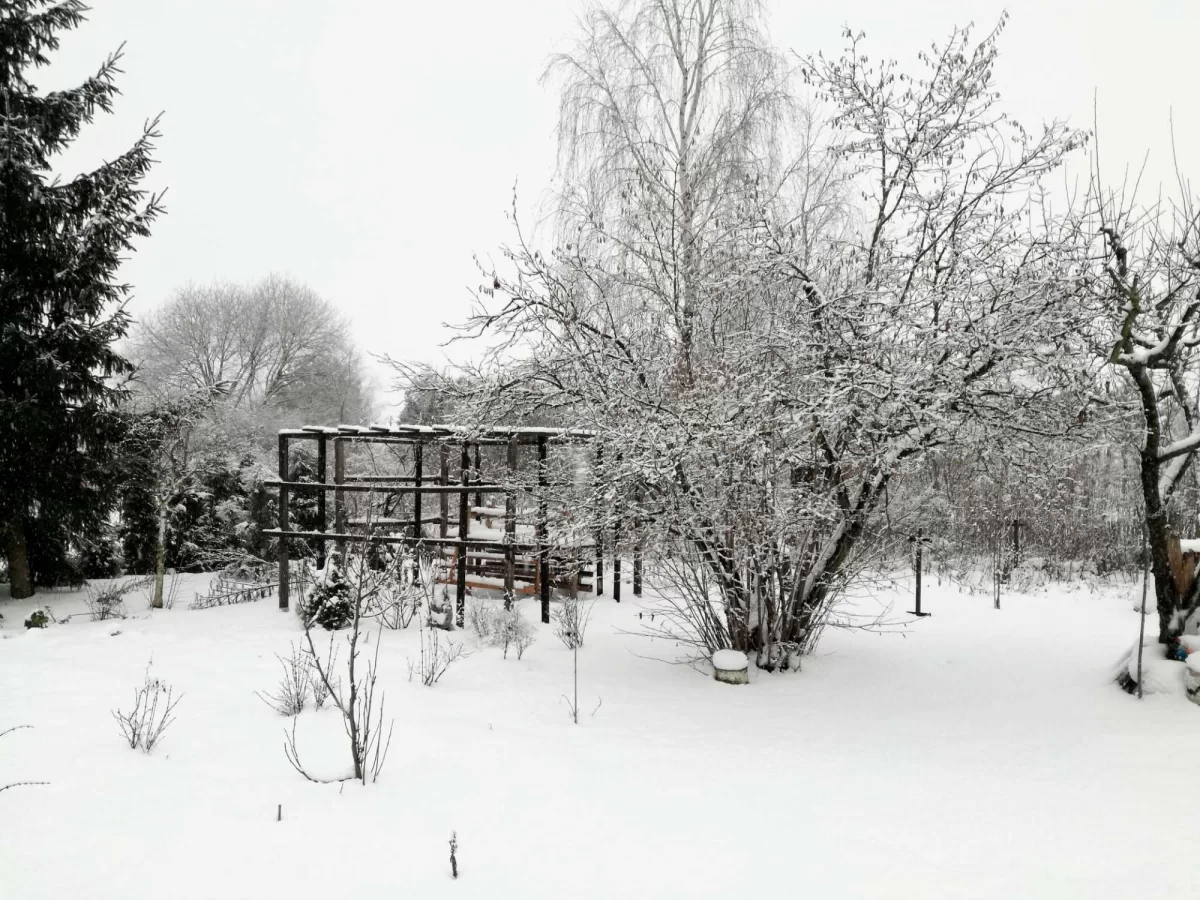 DZIAŁKA REKREACYJNA 540 m2 na sprzedaż