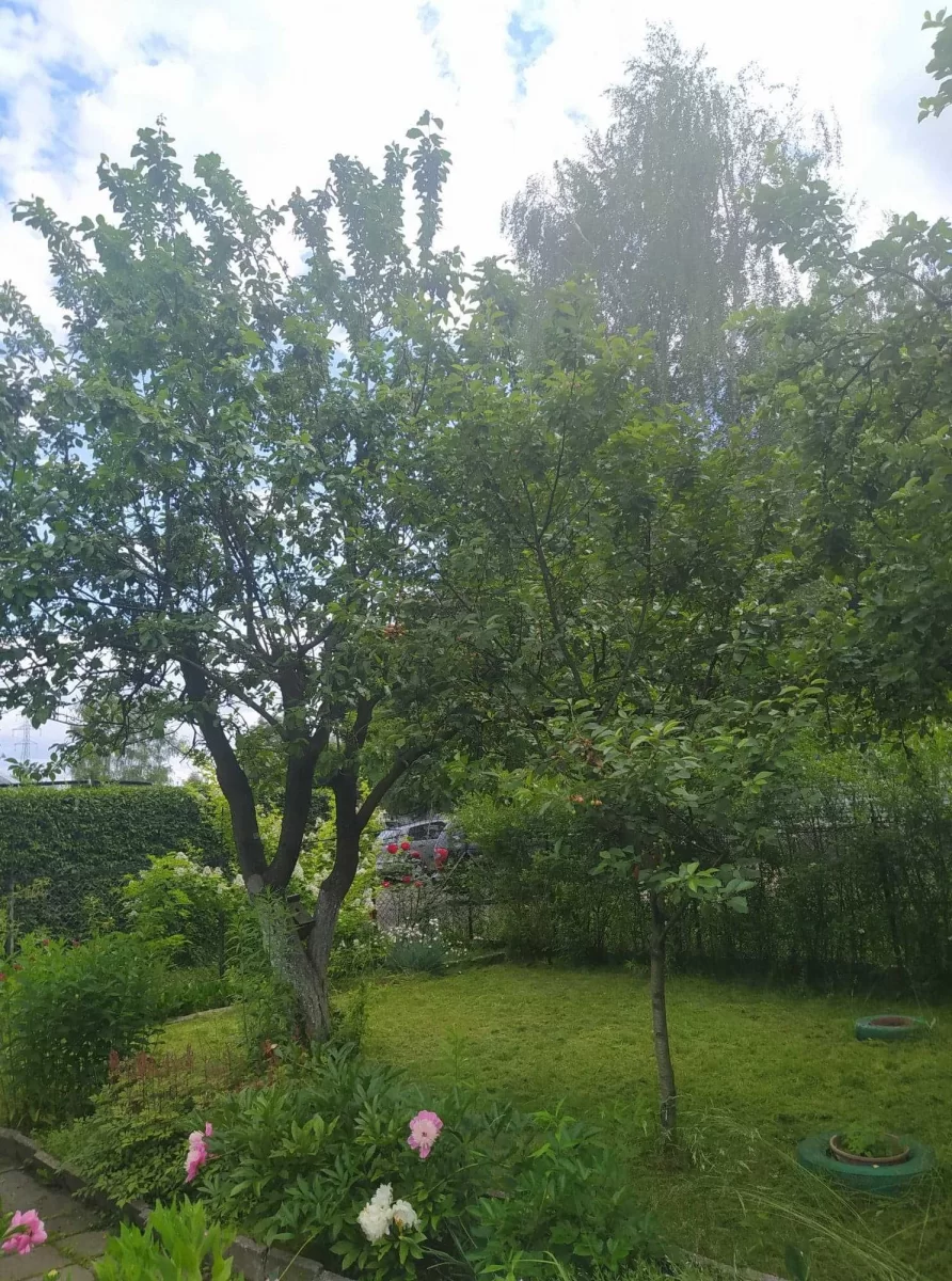 ogródek działkowy Bytom ROD Zawadzkiego