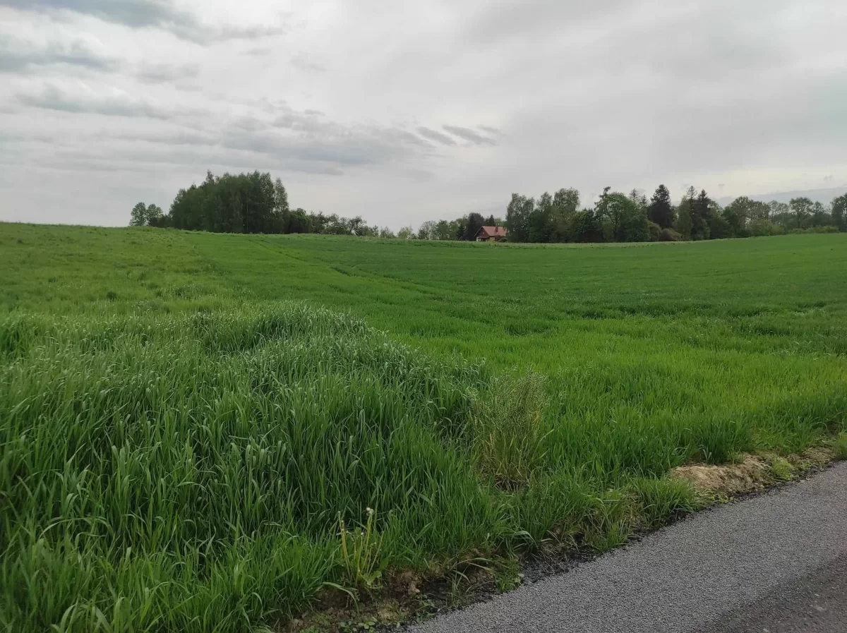 Na sprzedaż działka budowlana w Brzeźnicy!