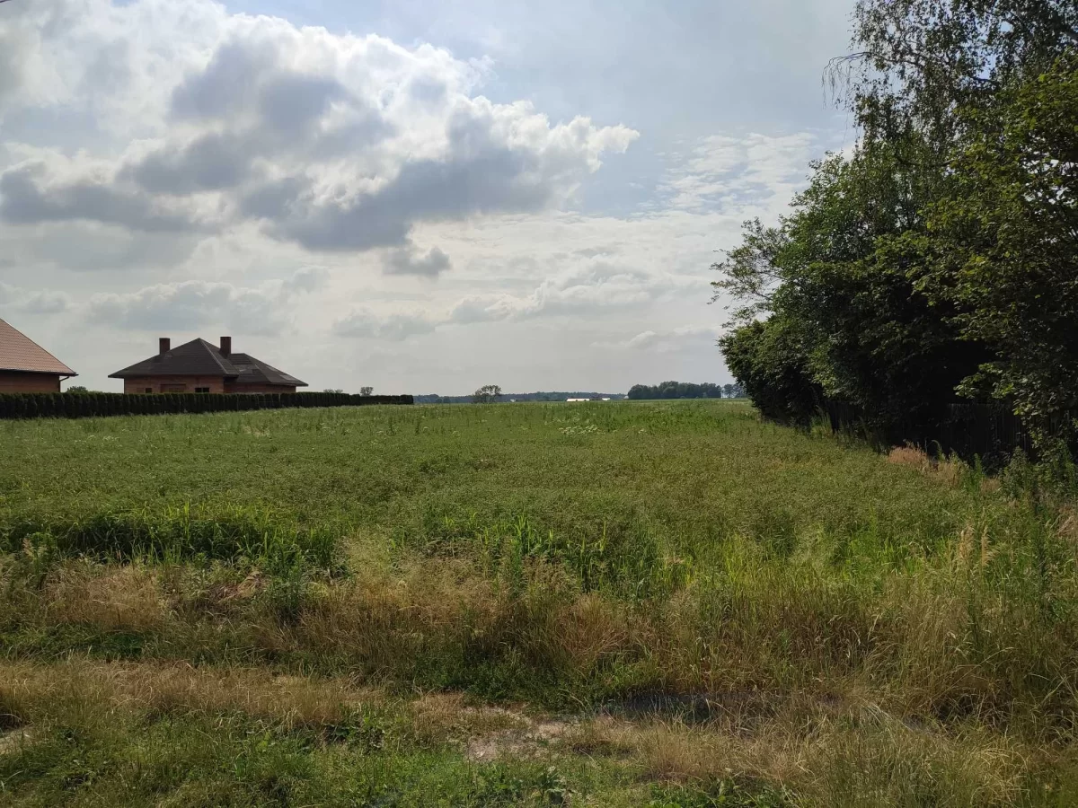 Sprzedam działki budowlane w Brzeziu (pow. pleszewski)
