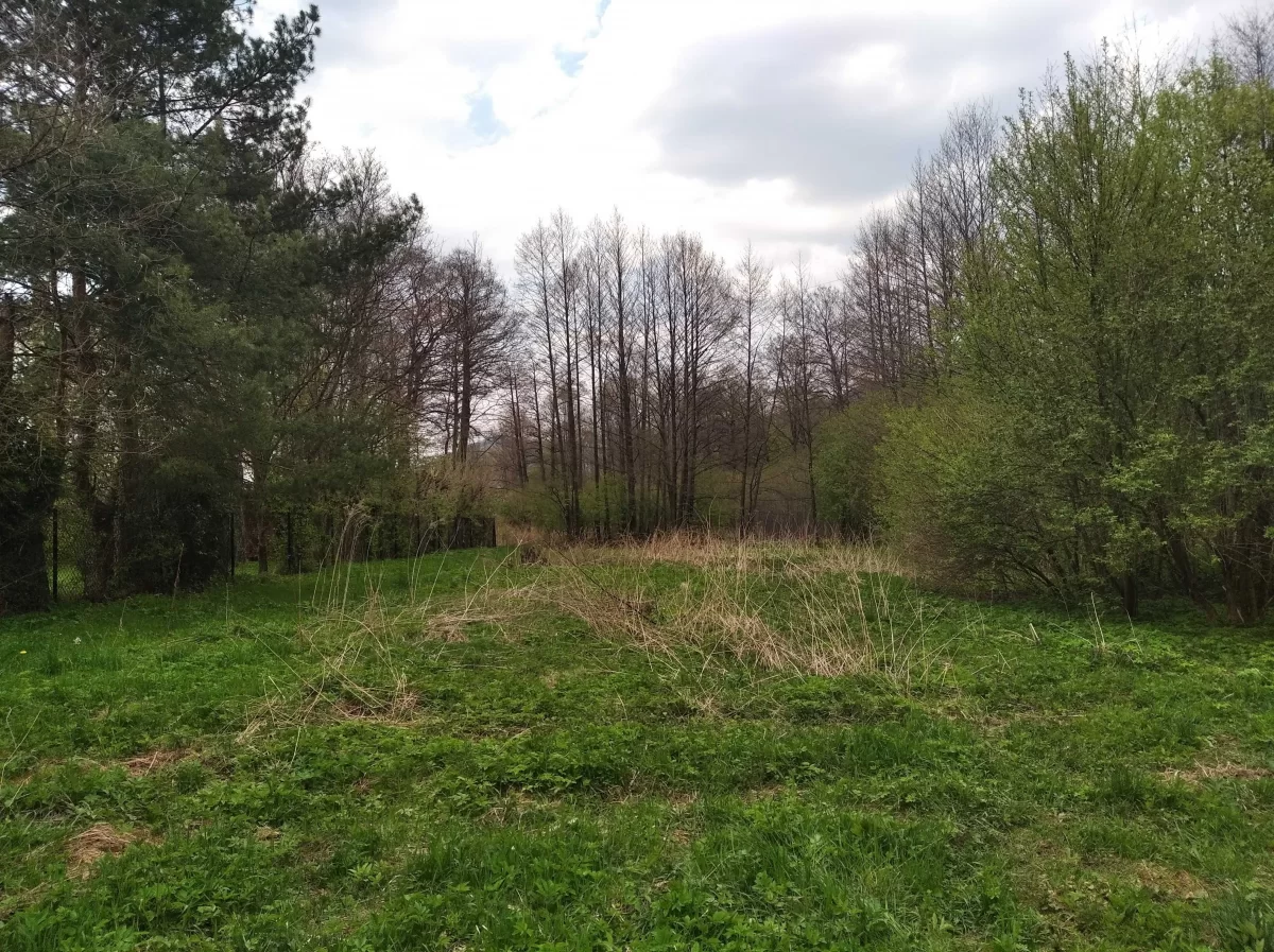 Atrakcyjna działka w Wilkowicach