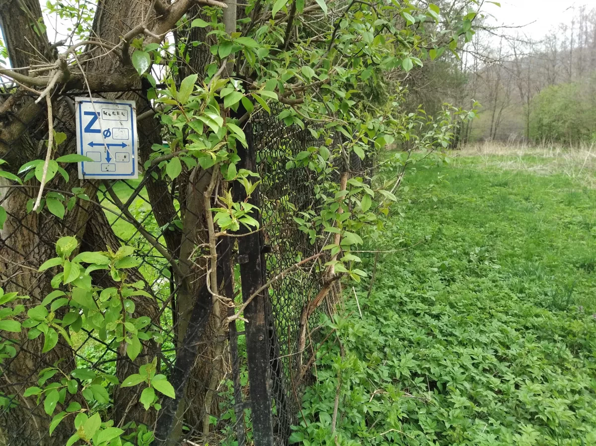 Atrakcyjna działka w Wilkowicach