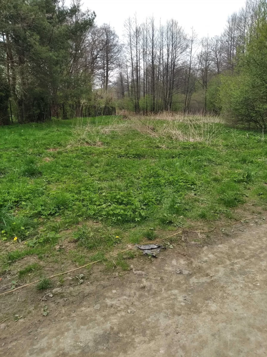Atrakcyjna działka w Wilkowicach