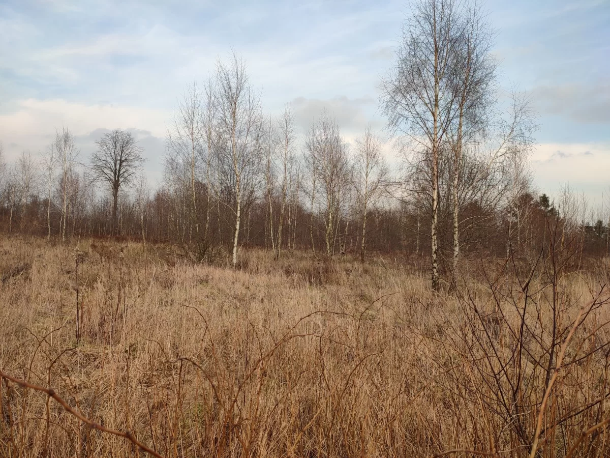 Sprzedam działkę Białystok