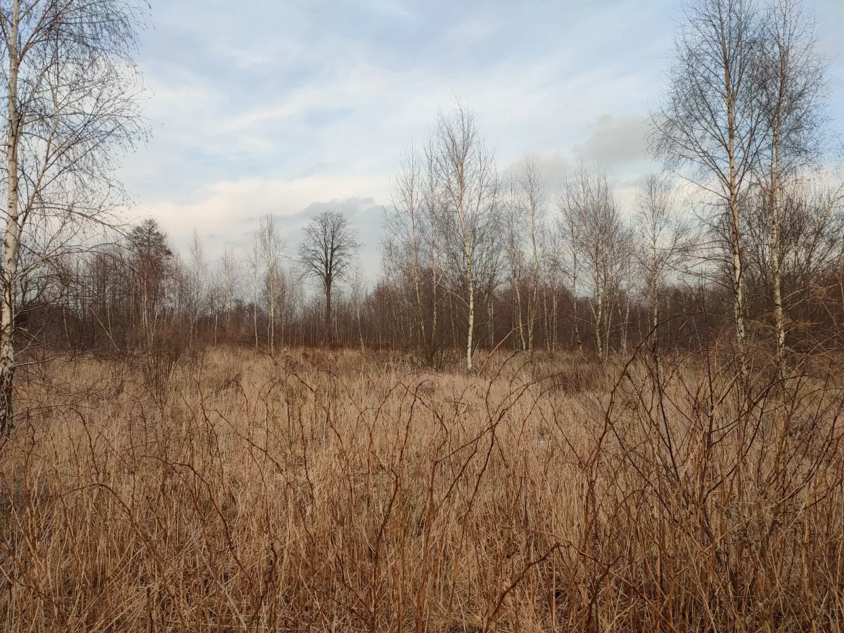 Sprzedam działkę Białystok