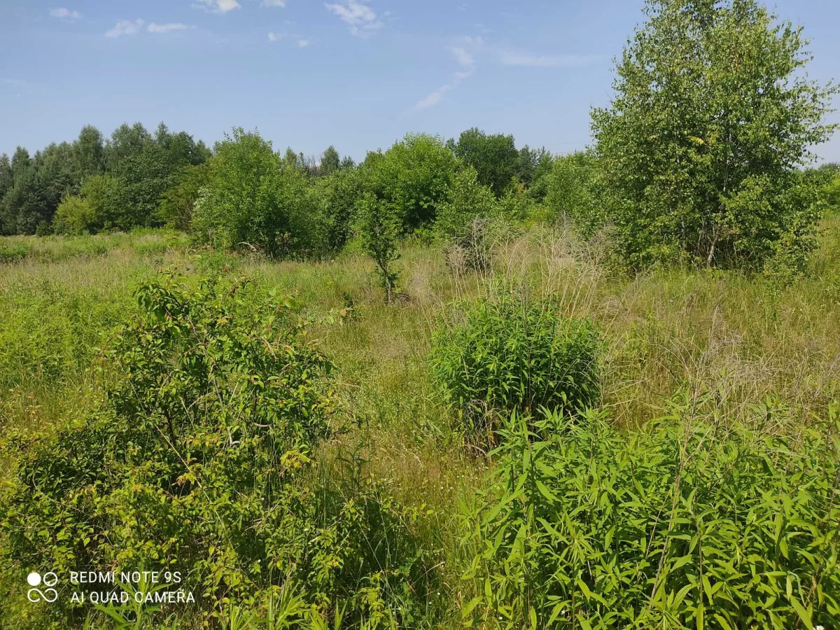 Działka budowlana 2460m2 Białystok sprzedam