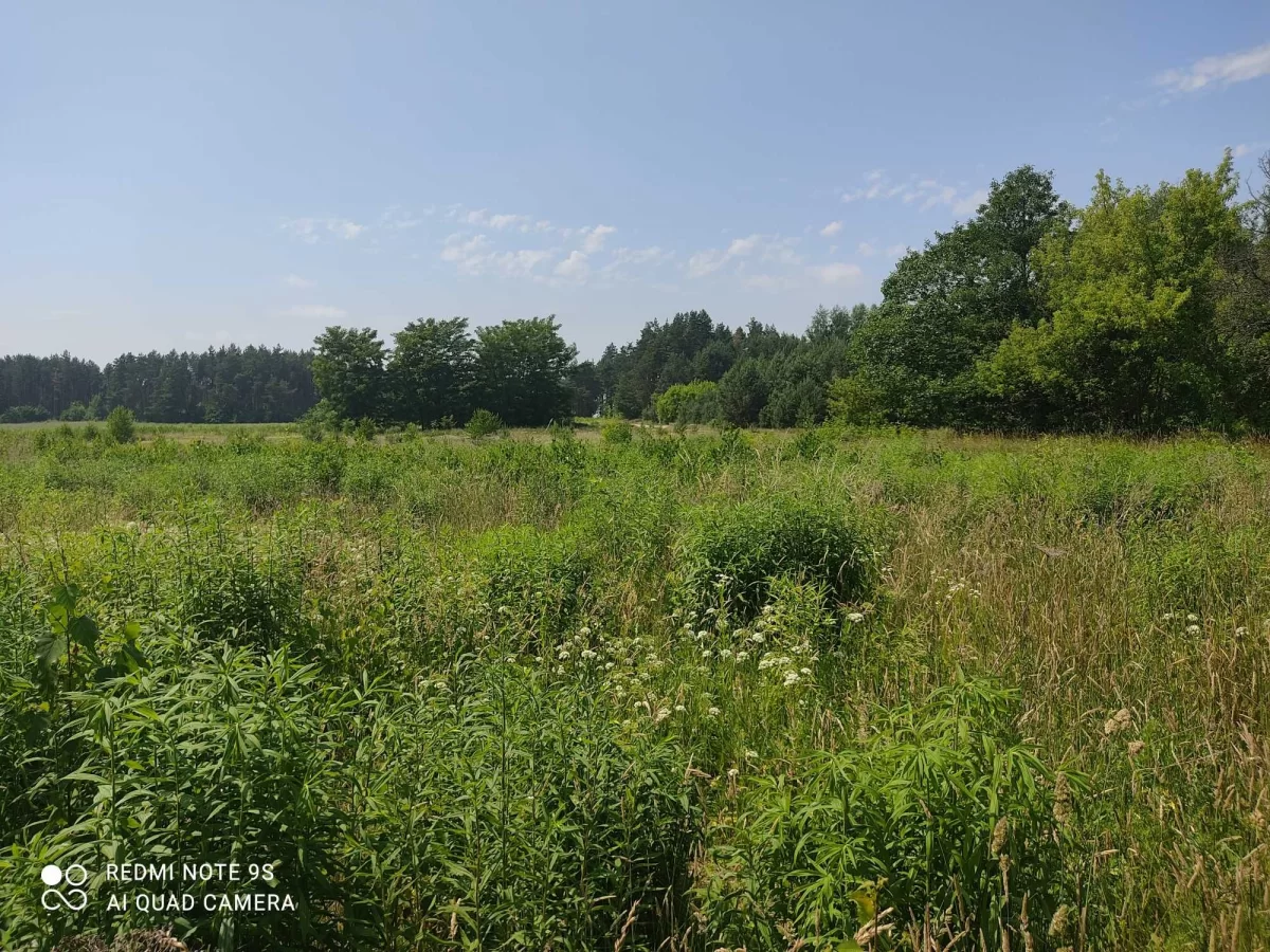 Działka budowlana 2460m2 Białystok sprzedam