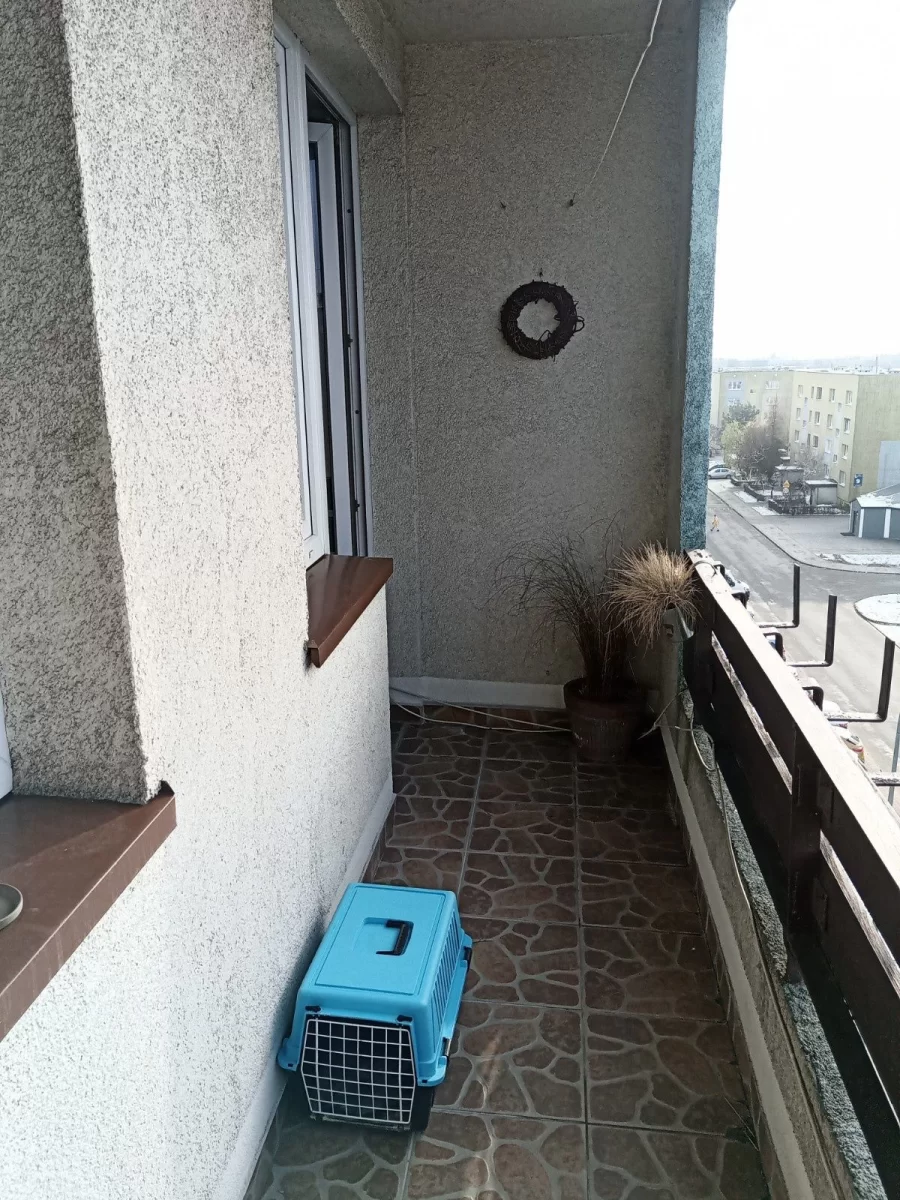 Wynajmę mieszkanie Knurów
