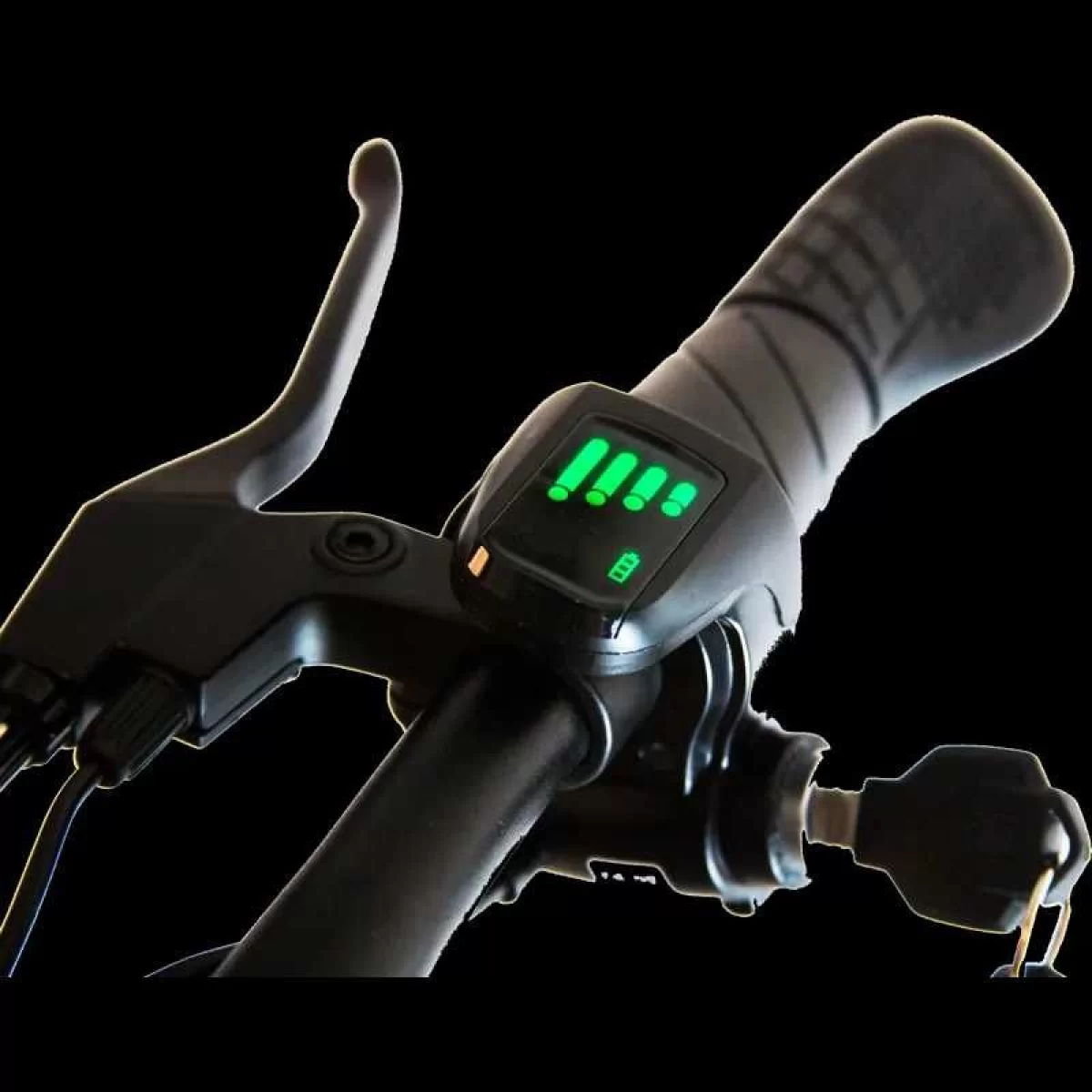Hulajnoga elektryczna Rider Monster