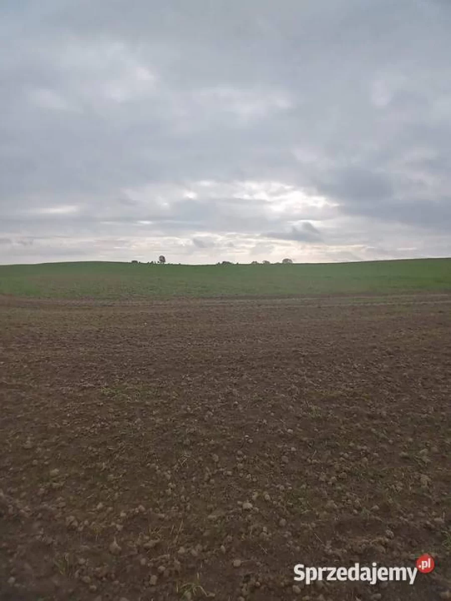 Działka , linią brzegową Jezioraka 5ha pod zabudowę kanał na Zalewo