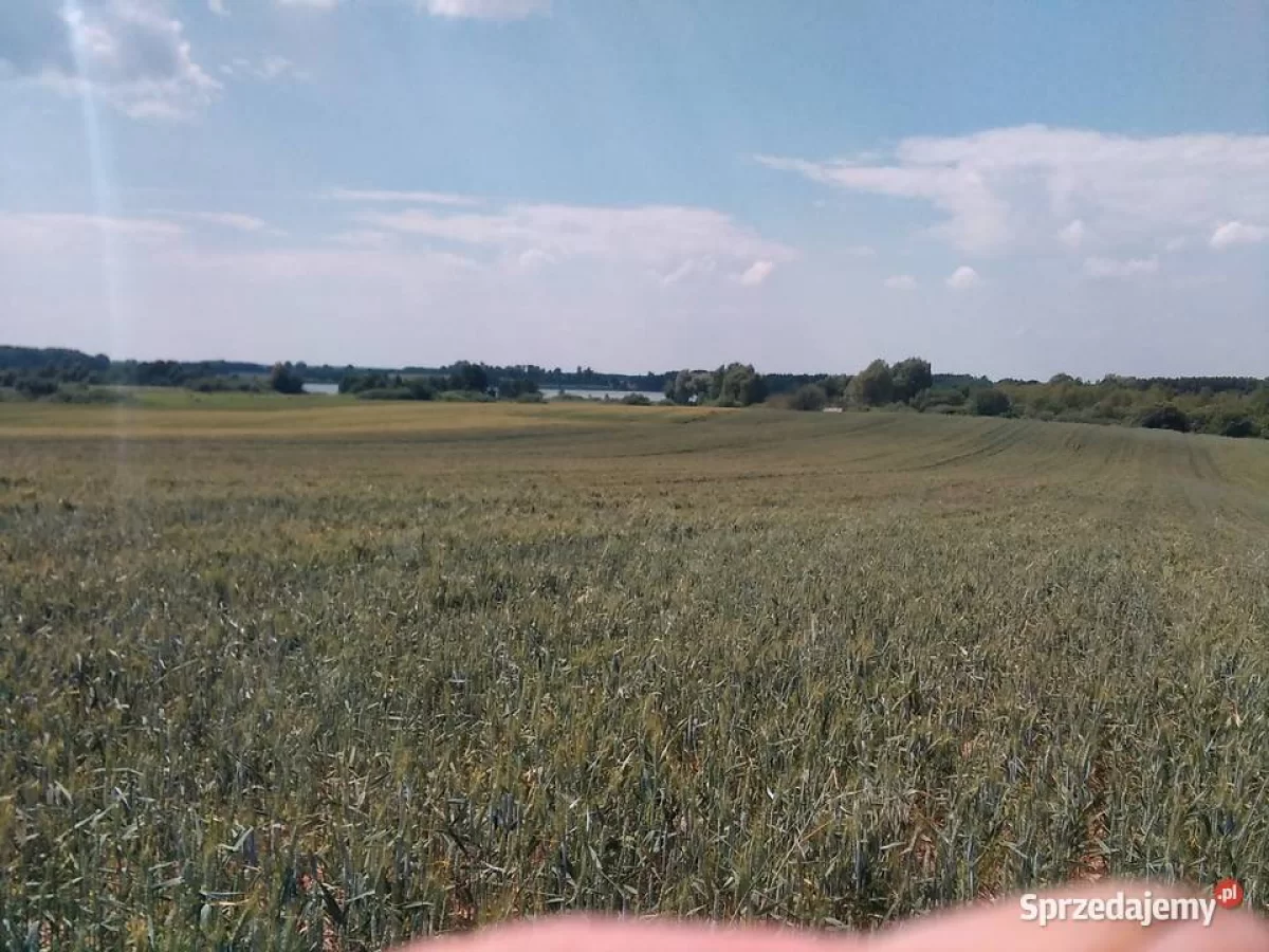 Działka , linią brzegową Jezioraka 5ha pod zabudowę kanał na Zalewo