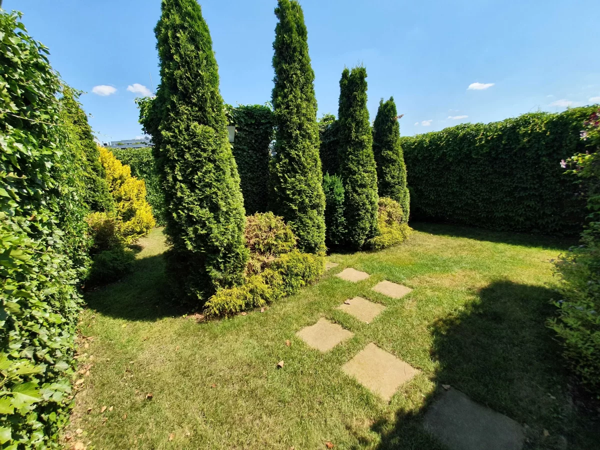 Wynajmę penthouse 3 pok z 100m2 ogrodem na dachu+2 garaż, bezpośrednio