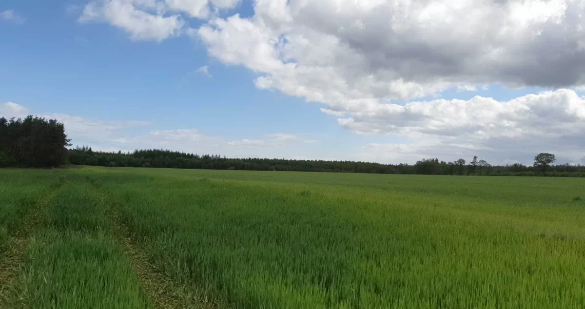 Działka budowlana na Kaszubach Dąbrówno , prywatnie , jezioro