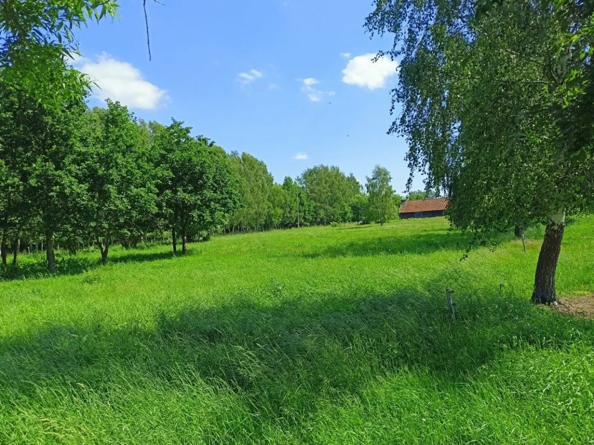 Sprzedam działkę budowlaną koło Piszu w Rostkach z dostępem do jeziora