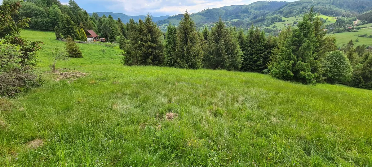 Działka BUDOWLANA widokowa w górach Soblówka 8.6ar Beskidy