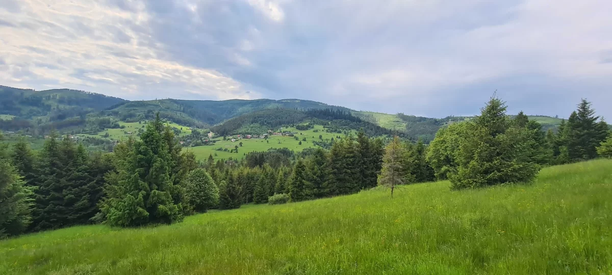 Działka BUDOWLANA widokowa w górach Soblówka 8.6ar Beskidy