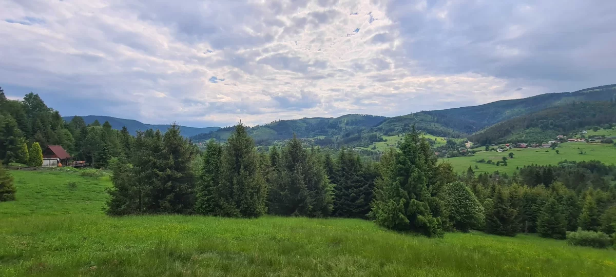 Działka BUDOWLANA widokowa w górach Soblówka 8.6ar Beskidy