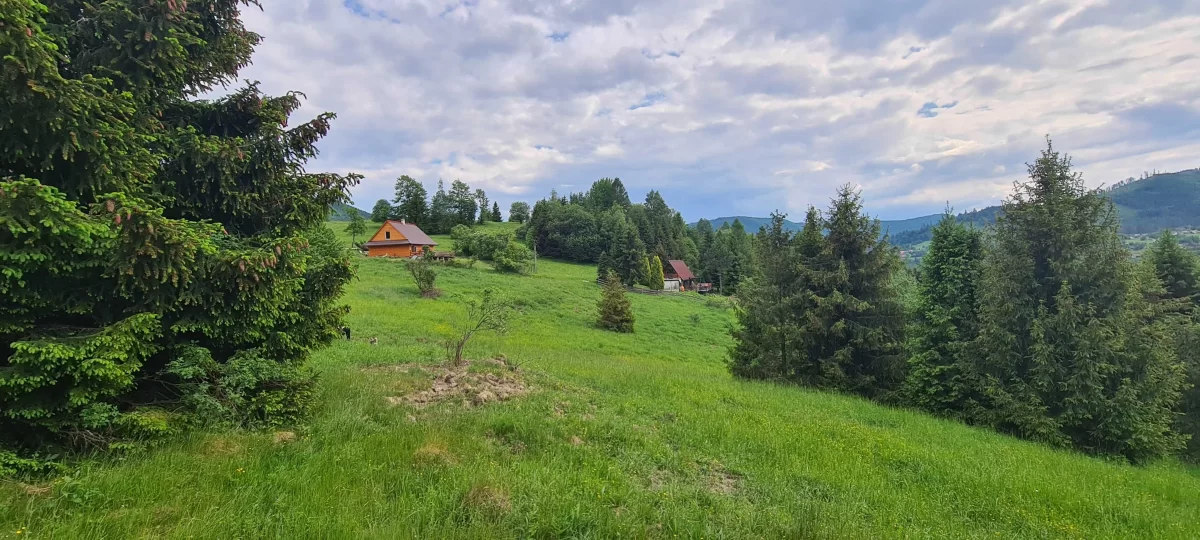Działka BUDOWLANA widokowa w górach Soblówka 8.6ar Beskidy