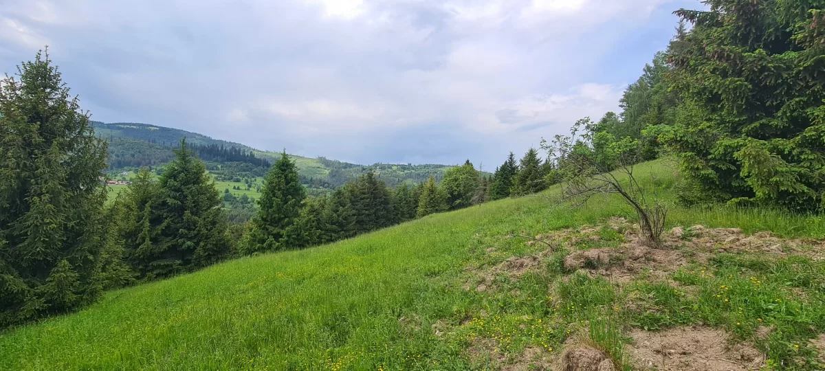 Działka BUDOWLANA widokowa w górach Soblówka 8.6ar Beskidy