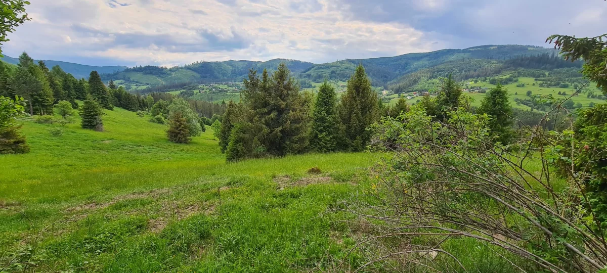 Działka BUDOWLANA widokowa w górach Soblówka 8.6ar Beskidy