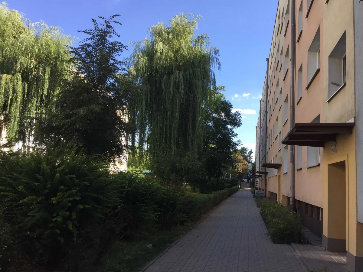 Mieszkanie 3 pokojowe 47m2 Wynajme Poznań