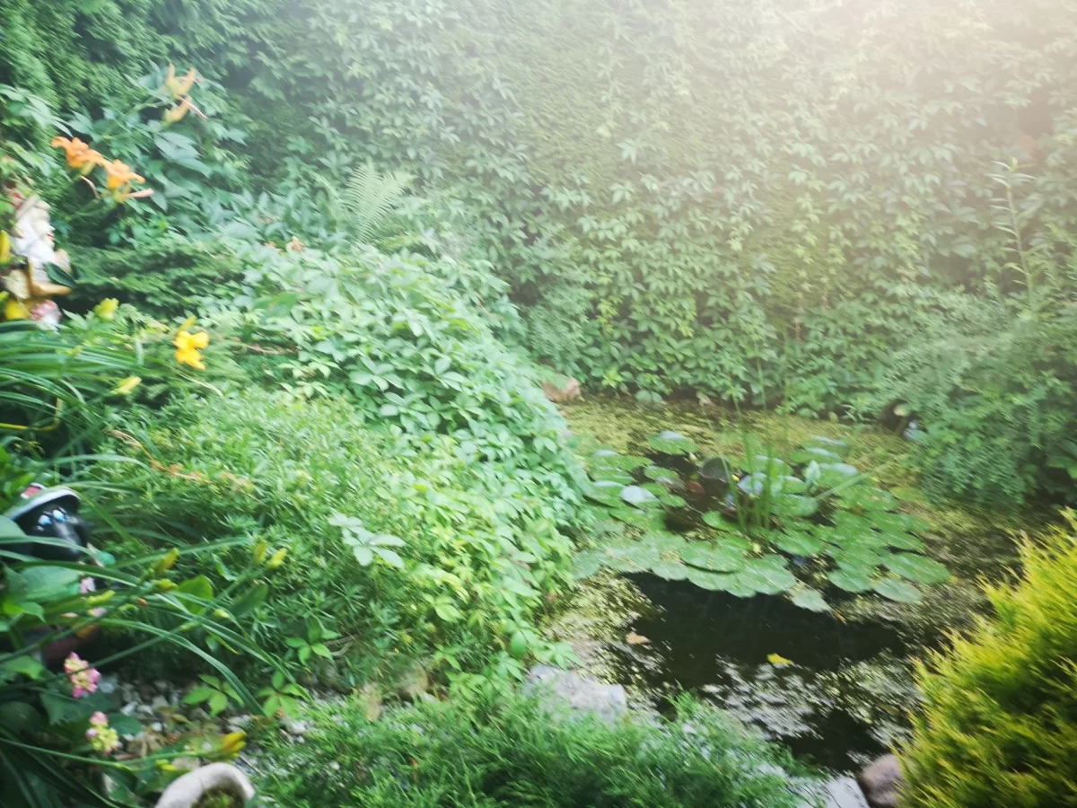 Sprzedam działkę 300m2
