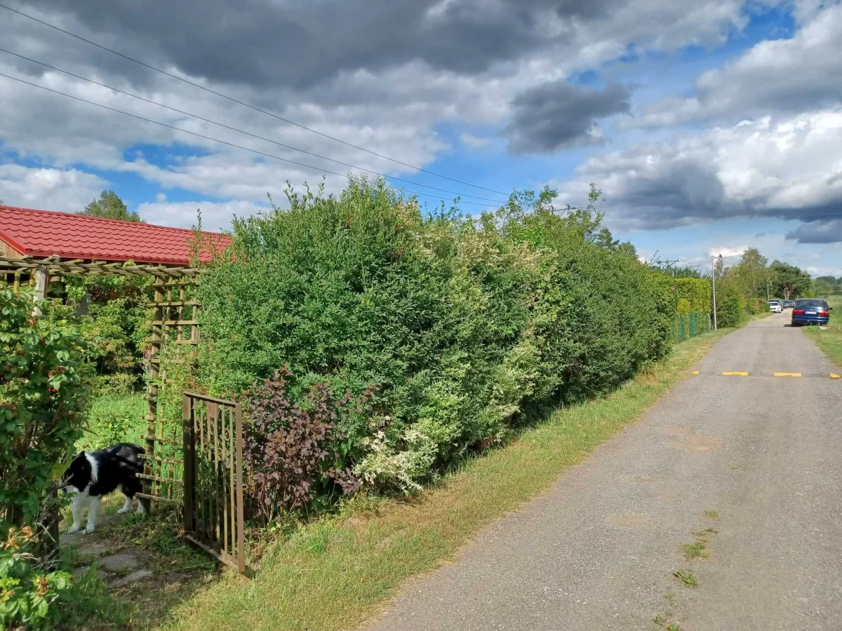 Dzialka ROD Michałowice obok Raszyna