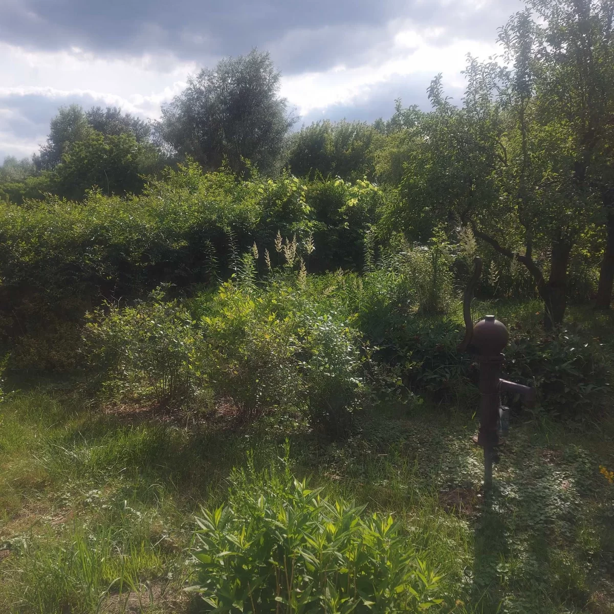 Dzialka ROD Michałowice obok Raszyna