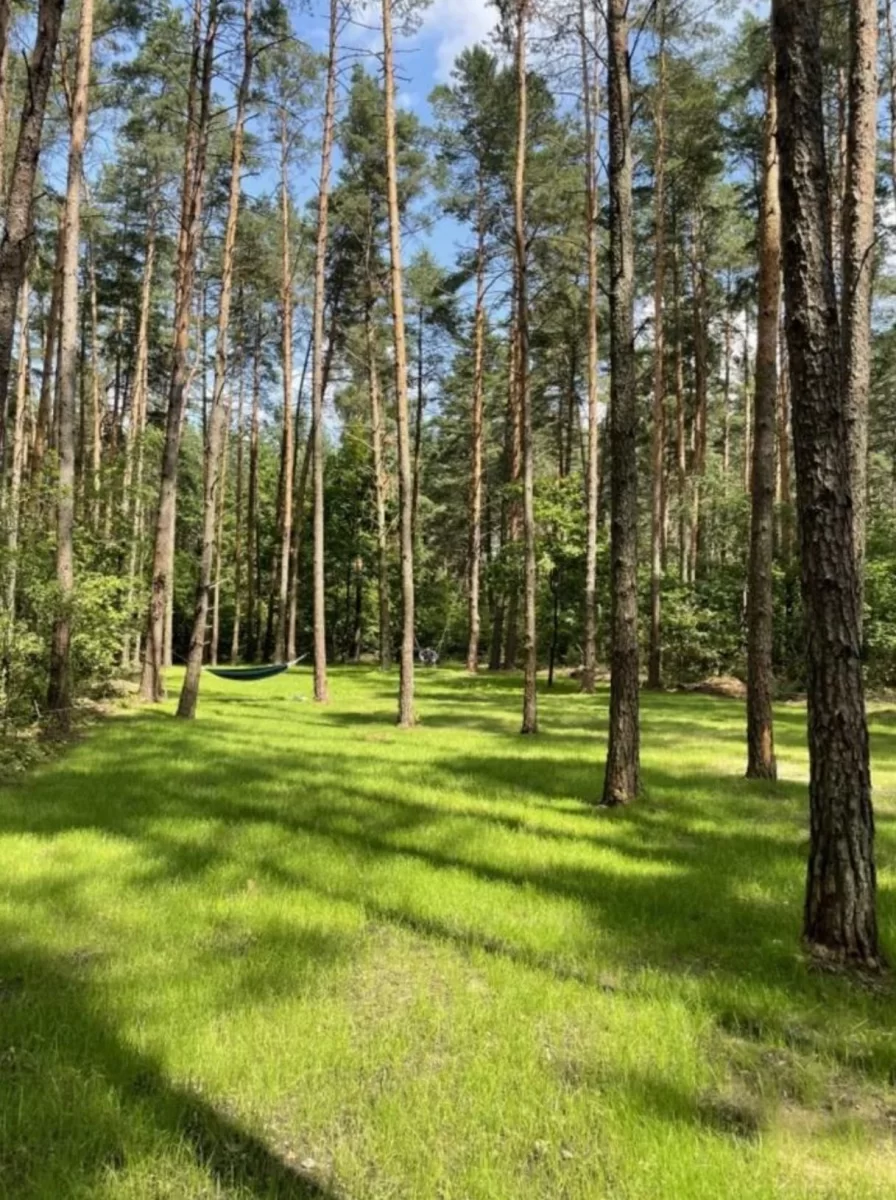 Sprzedam działkę nad jeziorem Rajgrodzkim