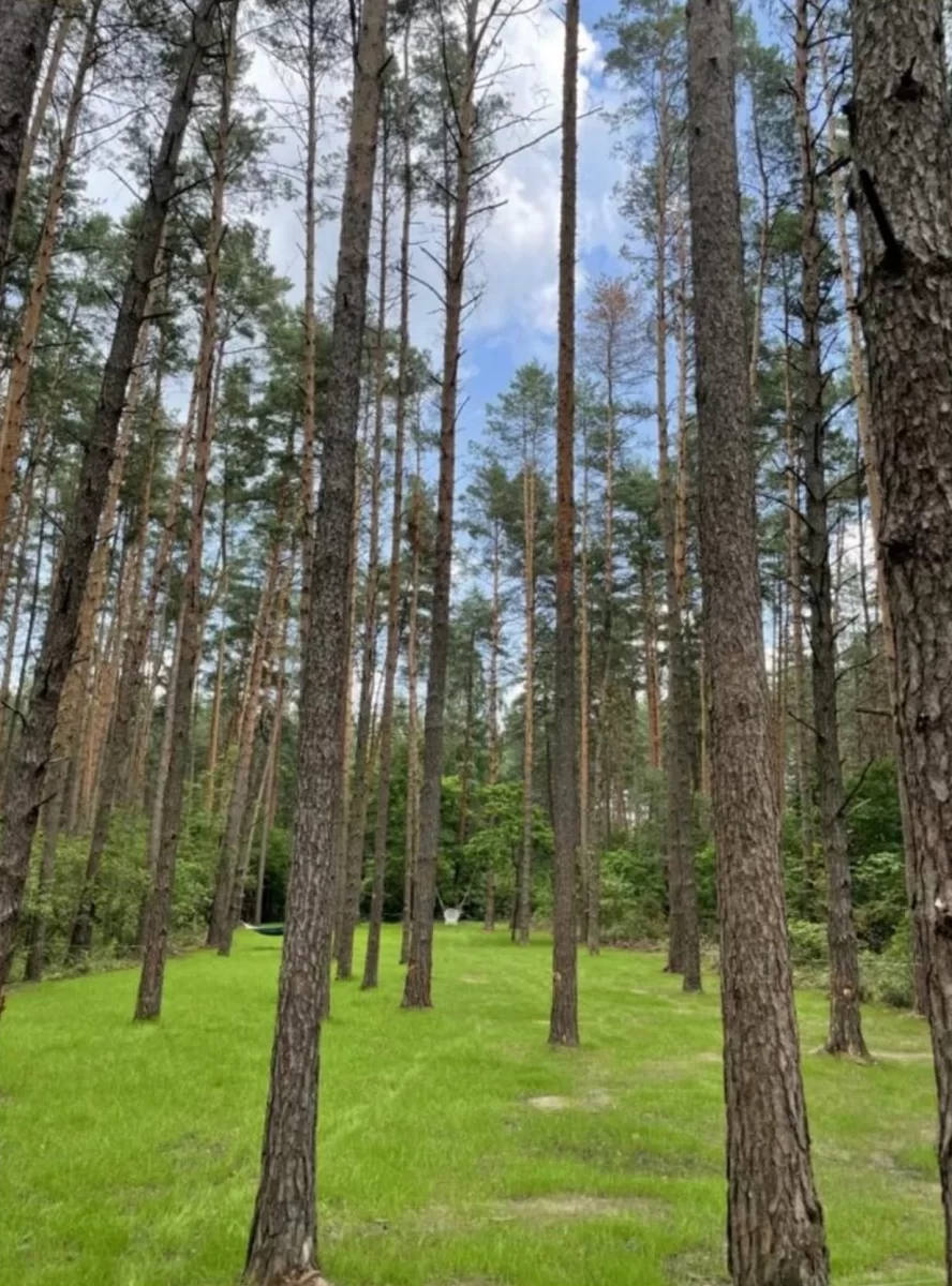 Sprzedam działkę nad jeziorem Rajgrodzkim