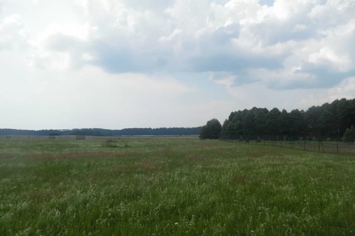 Działka nad jeziorem Białym gm.Piecki