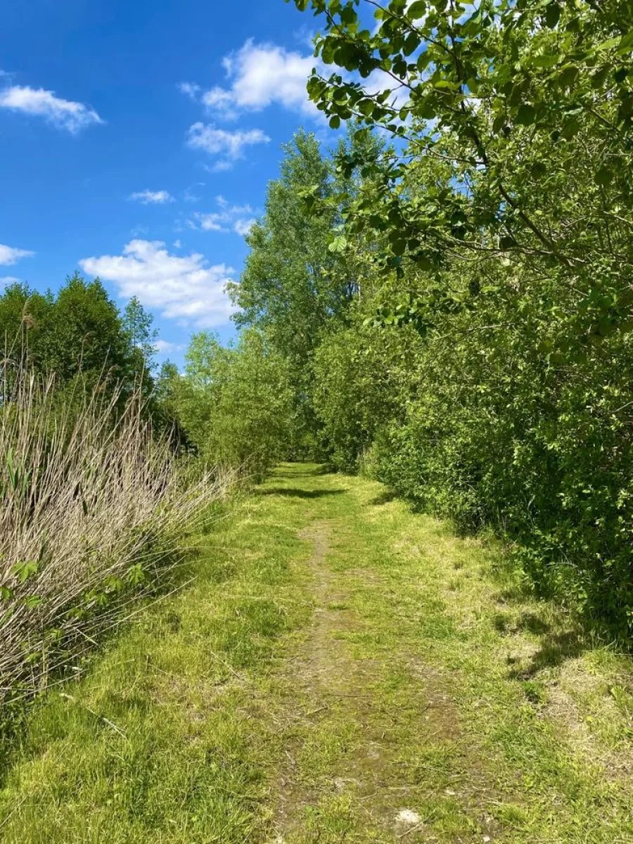 Działka budowalna nad jeziorem Głuszyńskim