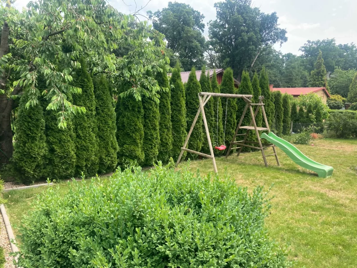 Działka rekreacyjna Wieniec Zalesie 350m2 / Domek / Oaza spokoju