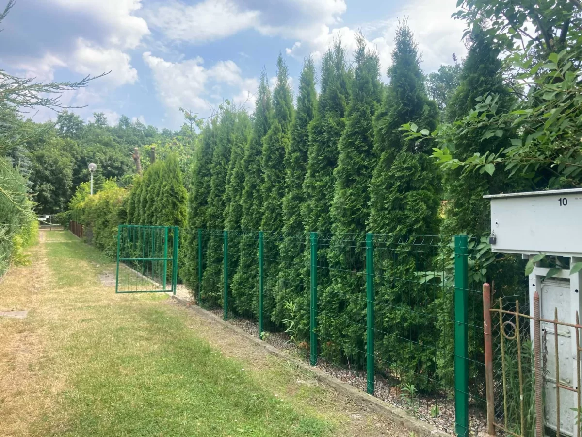 Działka rekreacyjna Wieniec Zalesie 350m2 / Domek / Oaza spokoju