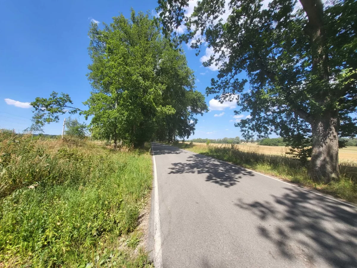 Działka budowlana 1570m2 - Domachowo - 20 min od Gdańska