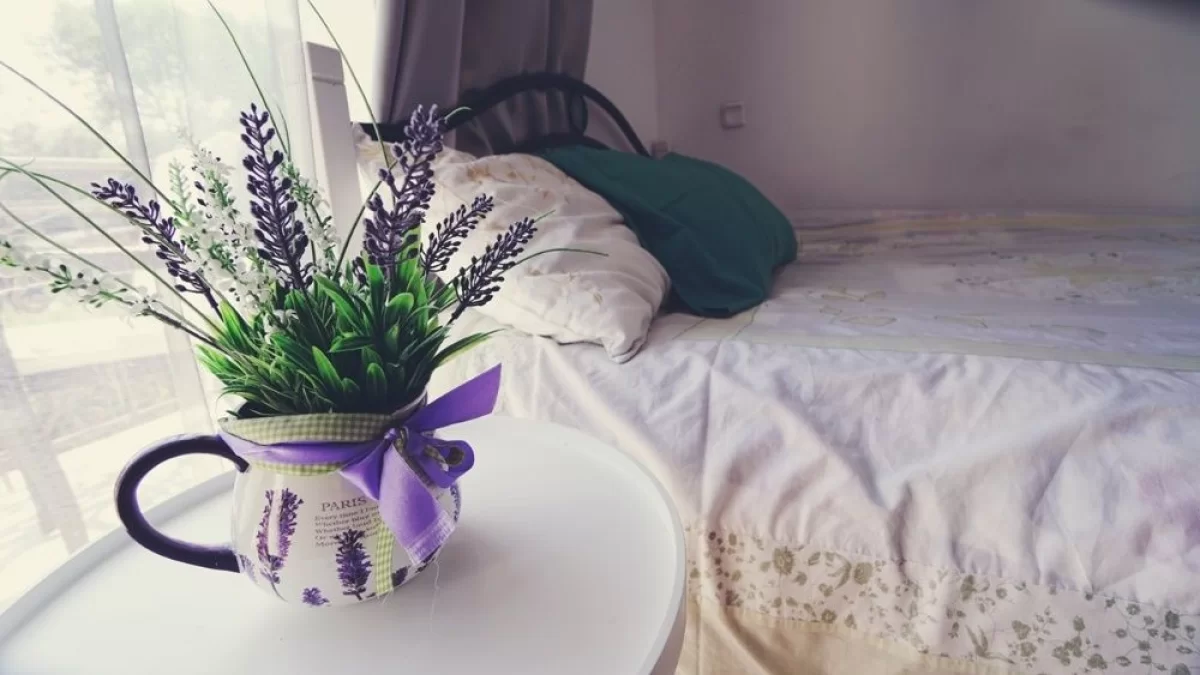Apartamenty Noclegi Mielno Nad Morzem Blisko Plaży, Bony turystyczne