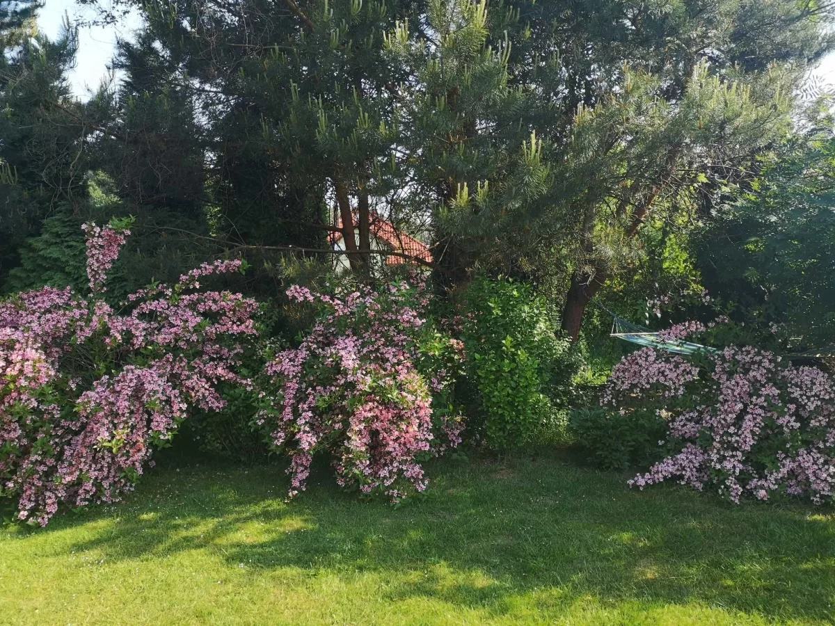 Sprzedam wolnostojący dom Rybnik w cichej dzielnicy Rybnika