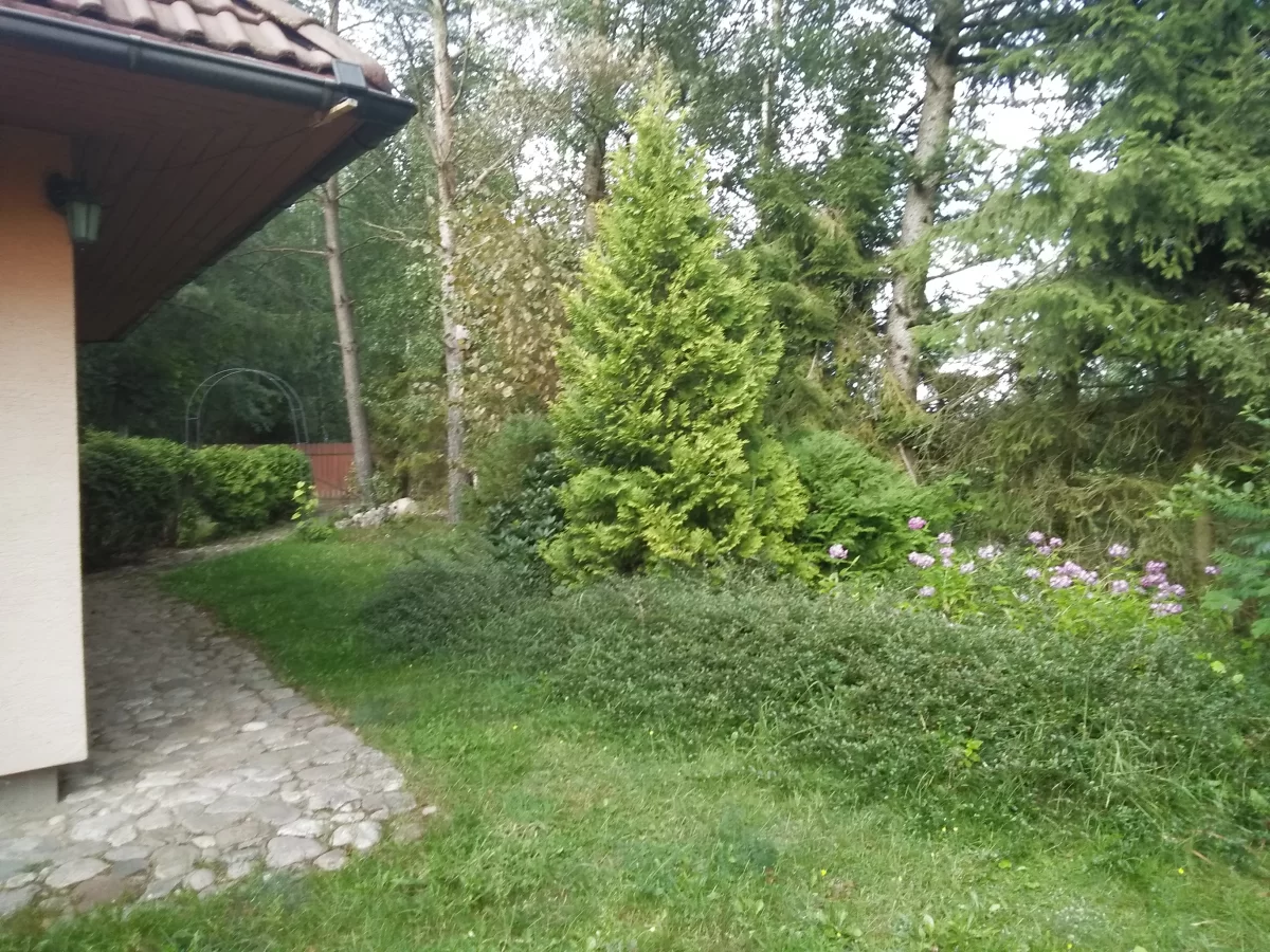 Zielona posiadłosc z domem na Kaszubach nieopodal Stężycy